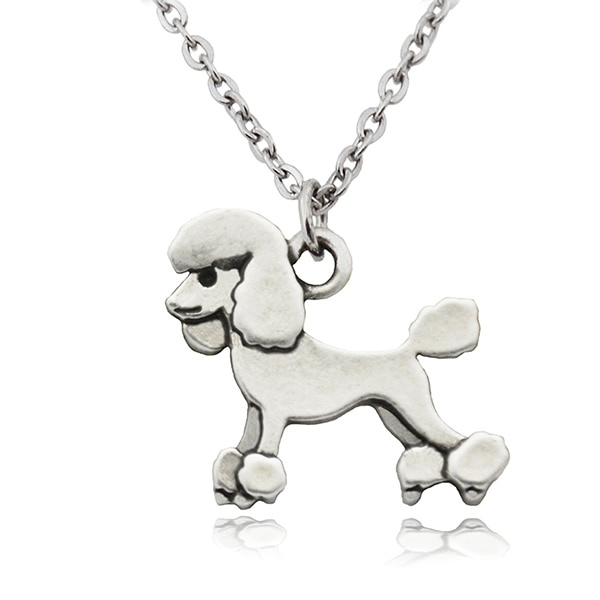 Colar Amável Dog - Todas Raças